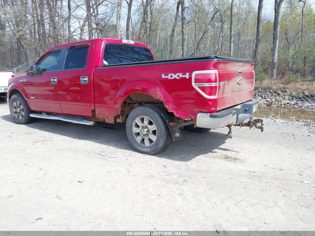 FORD F-150 XLT - 3