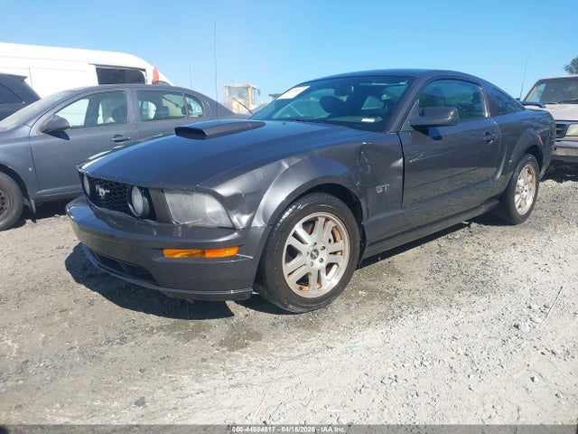 FORD MUSTANG GT DELUXE/GT PREMIUM - 2