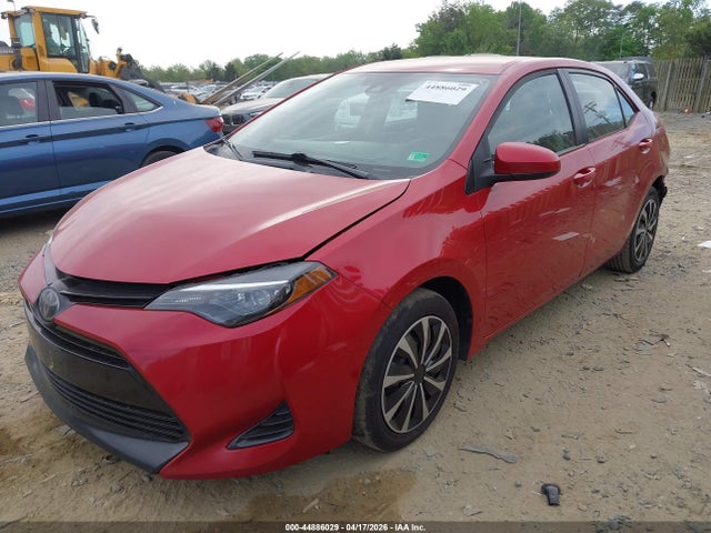 2019 Toyota COROLLA LE 照片 2