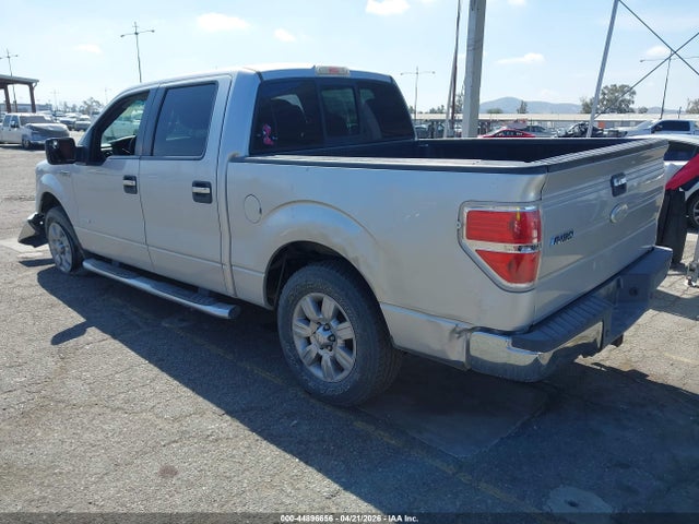 FORD F-150 XLT - 3