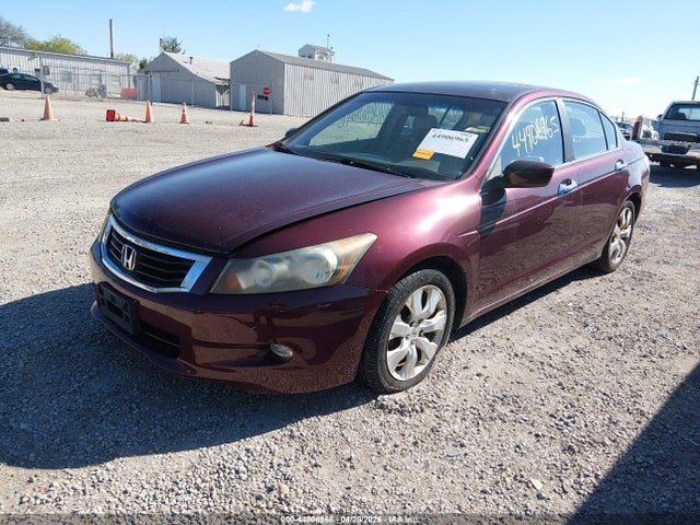 HONDA ACCORD 3.5 EX-L - 2