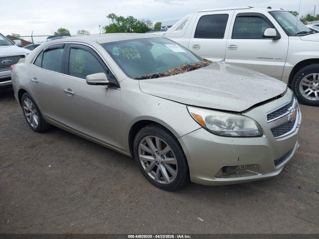 CHEVROLET MALIBU 1LZ - 1