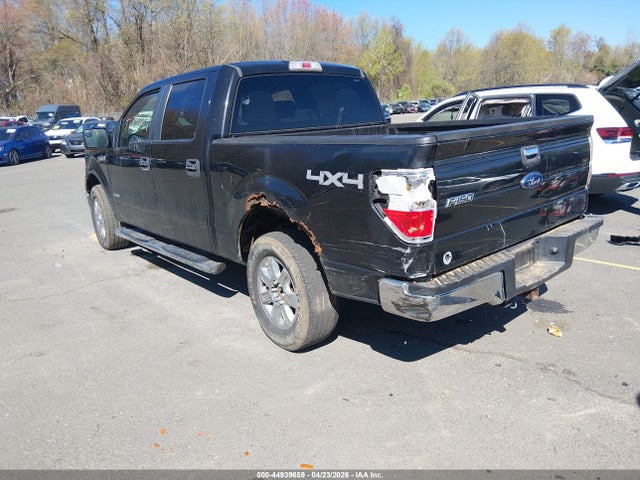 FORD F-150 XLT - 3