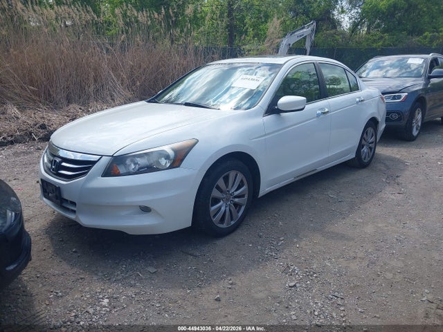 HONDA ACCORD 3.5 EX-L - 2