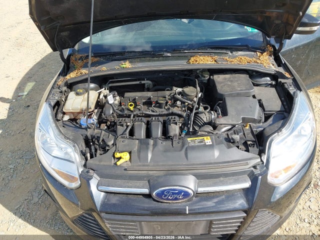 FORD FOCUS SE - 6