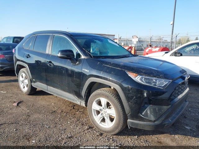 2019 TOYOTA RAV4 XLE