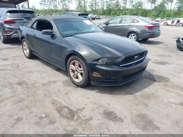FORD MUSTANG V6 - 1