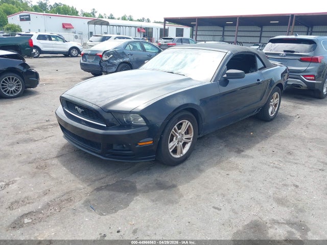 FORD MUSTANG V6 - 2
