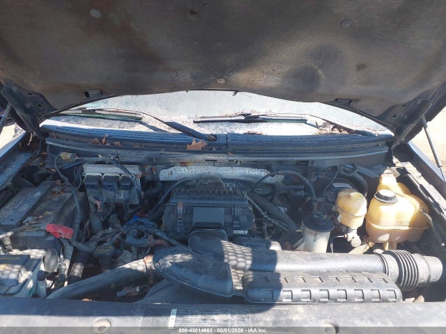 FORD F-150 - 10