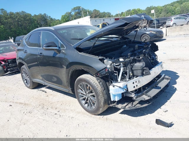 2025 LEXUS NX PREMIUM