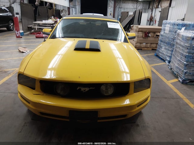 2005 FORD MUSTANG thumbnail 12