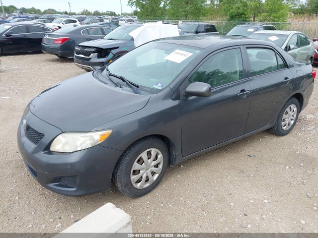 2009 Toyota COROLLA LE 照片 2