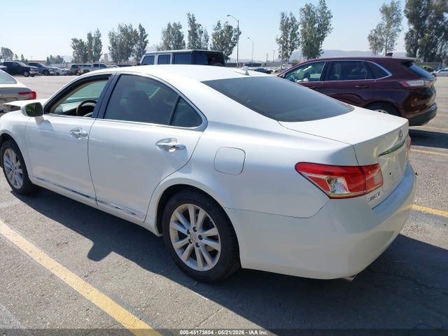 2010 Lexus ES 350 照片 3