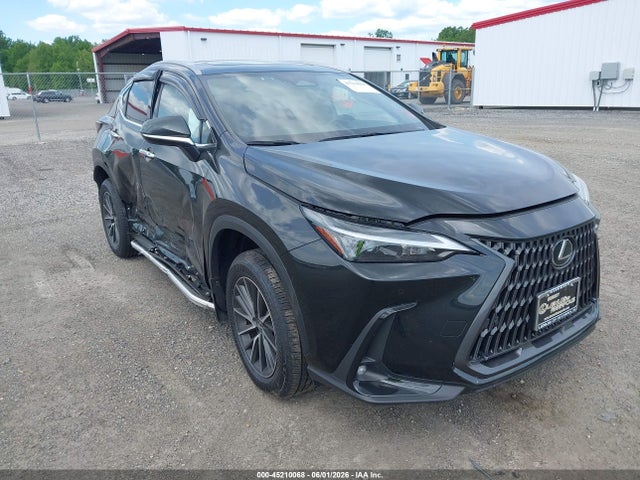 2024 LEXUS NX PREMIUM