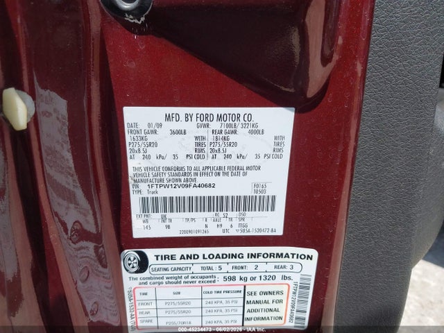 2009 FORD F-150 PLATINUM 照片 9