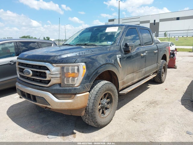 صورة 2 لـ 2023 FORD F-150 XLT