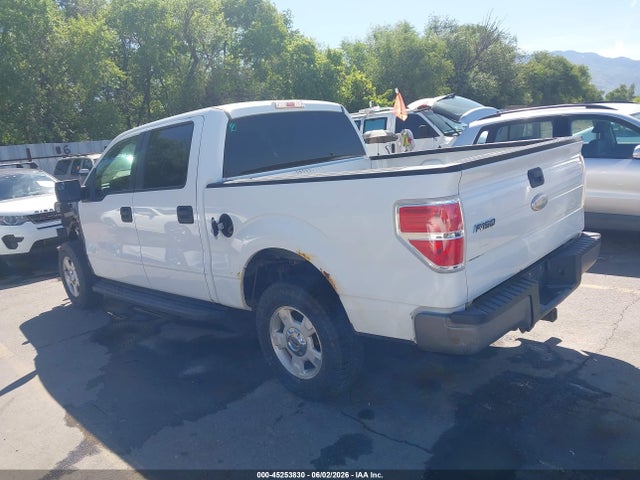 2012 FORD F-150 XL 照片 3