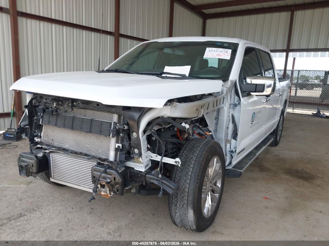 2024 FORD F-150 XLT 照片 2