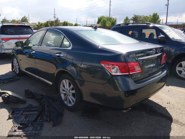 2010 Lexus ES 350 照片 3