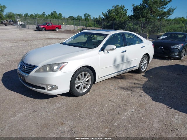 2010 Lexus ES 350 照片 2