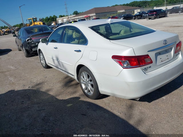 2010 Lexus ES 350 照片 3