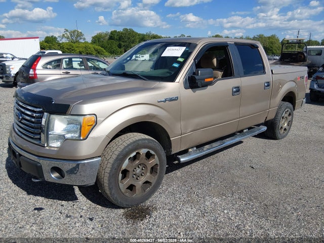 2011 FORD F-150 XLT 照片 2