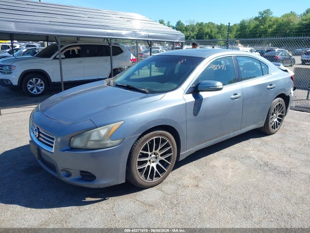 2011 Nissan MAXIMA 3.5 SV — фото 2