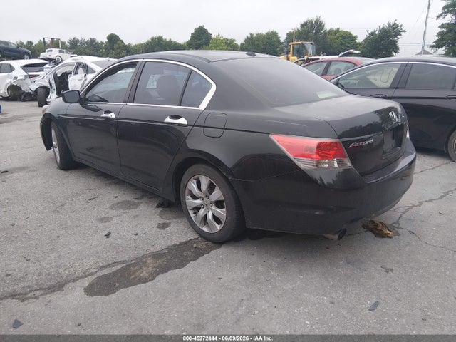 صورة 3 لـ 2008 Honda ACCORD 3.5 EX-L