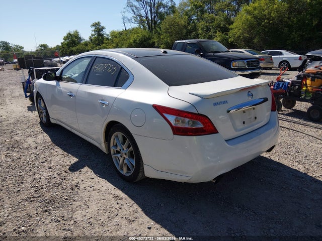 2010 Nissan MAXIMA 3.5 SV photo 3
