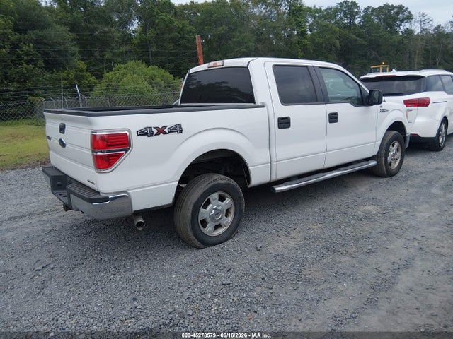 صورة 4 لـ 2014 FORD F-150 XLT