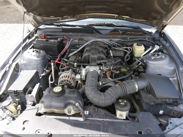 صورة 10 لـ 2006 FORD MUSTANG V6