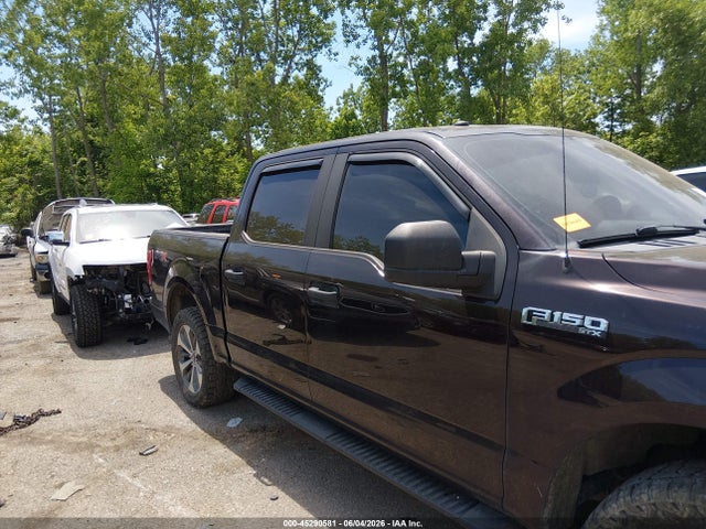 2019 FORD F-150 XL 缩略图 13