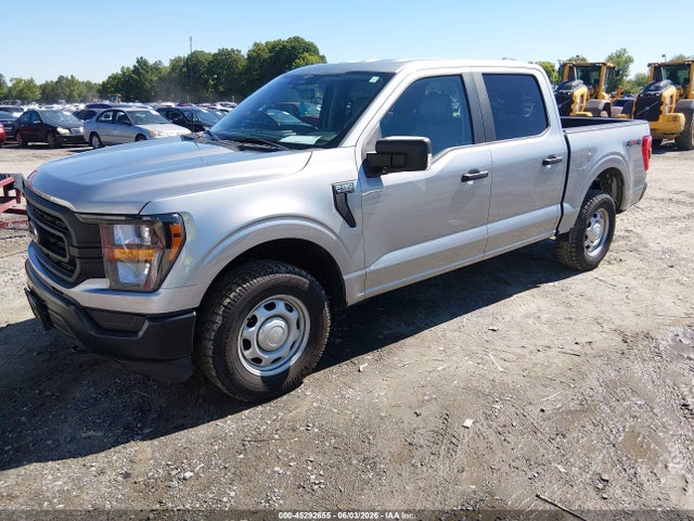 2023 FORD F-150 XL 照片 2