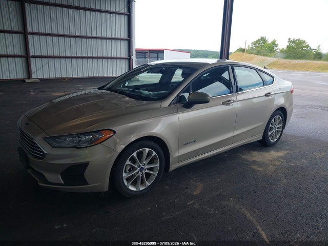 2019 FORD FUSION HYBRID SE 照片 2