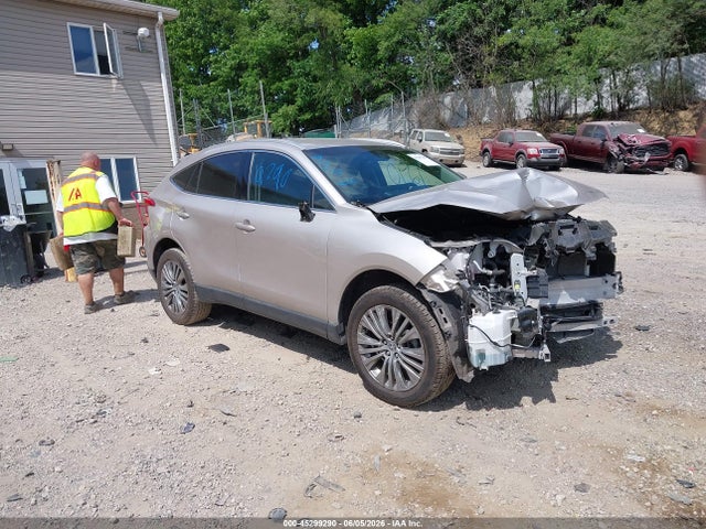 2023 TOYOTA VENZA XLE