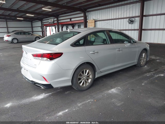 2019 Hyundai SONATA ECO photo 4