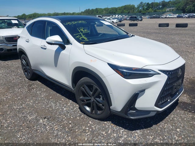 2025 LEXUS NX LUXURY