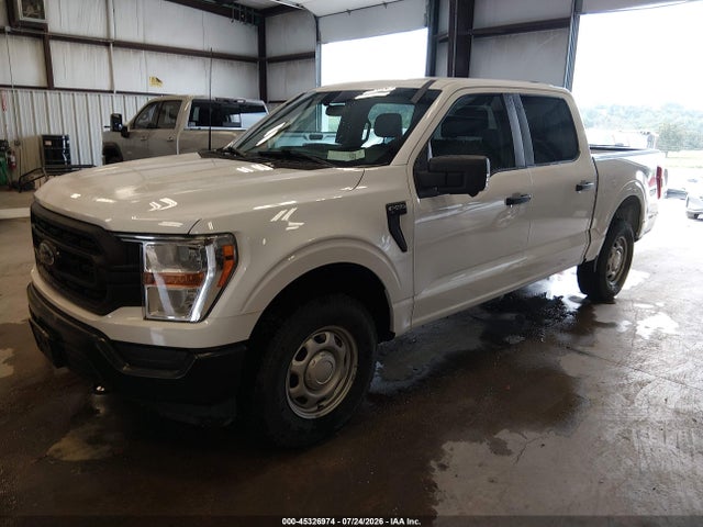 صورة 2 لـ 2022 FORD F-150 XL