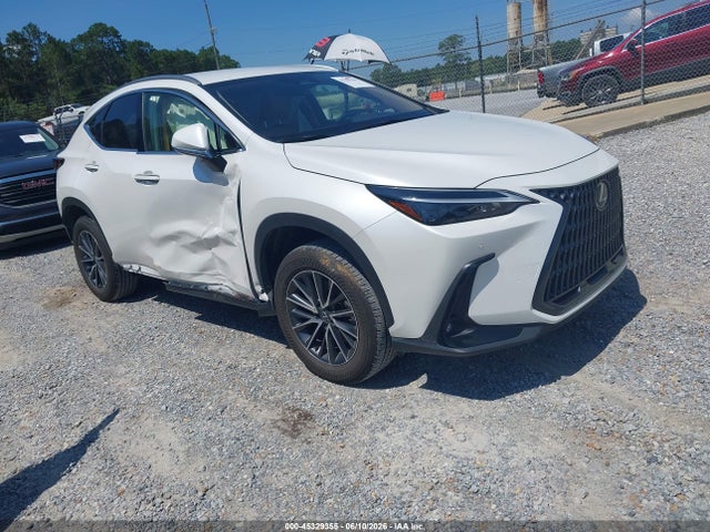 2025 LEXUS NX 