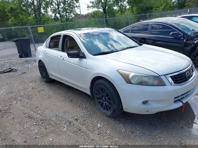 2010 HONDA ACCORD 3.5 EX-L