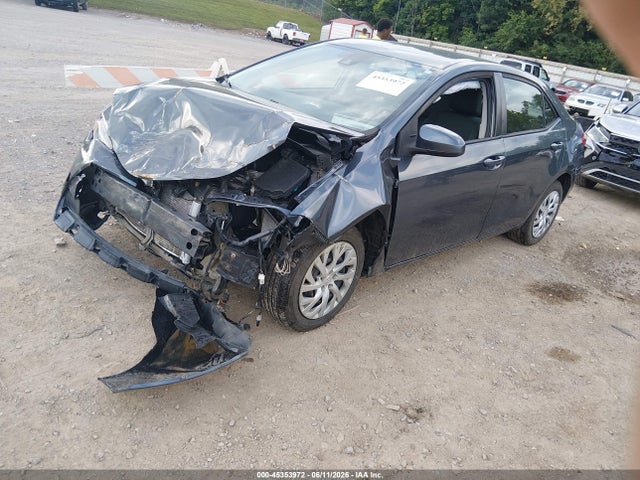 2019 Toyota COROLLA LE 照片 2