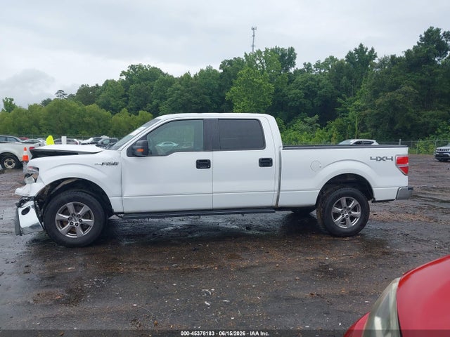 2014 FORD F-150 XLT 缩略图 14