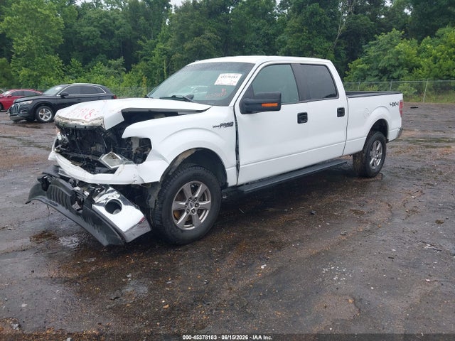 2014 FORD F-150 XLT 照片 2