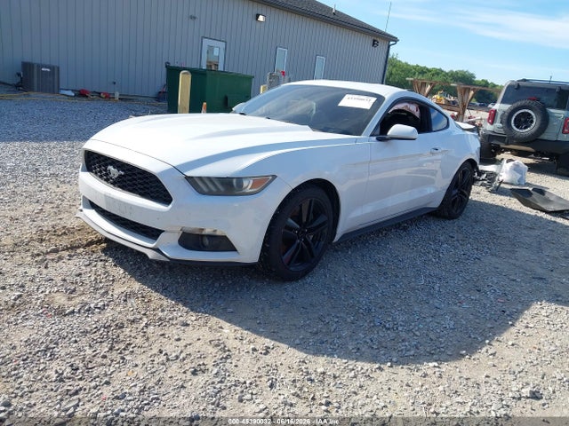 صورة 2 لـ 2015 FORD MUSTANG ECOBOOST