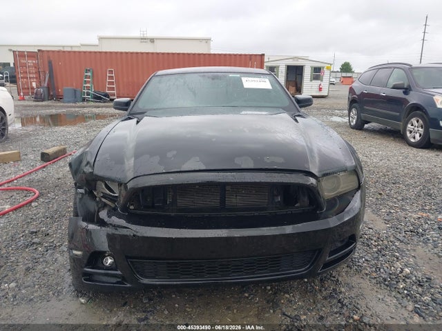 2014 FORD MUSTANG V6 thumbnail 12