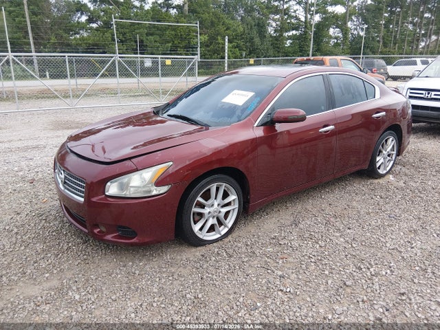 2010 Nissan MAXIMA 3.5 SV — фото 2