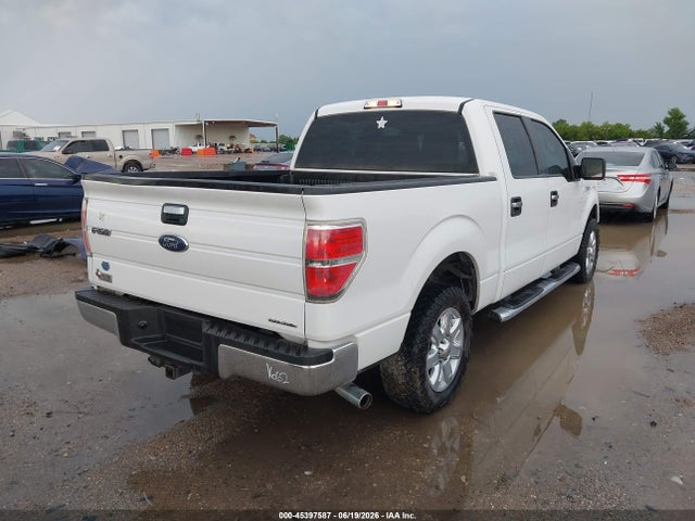 صورة 4 لـ 2013 FORD F-150 XLT