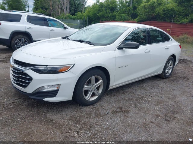 2019 Chevrolet MALIBU 1LS 照片 2