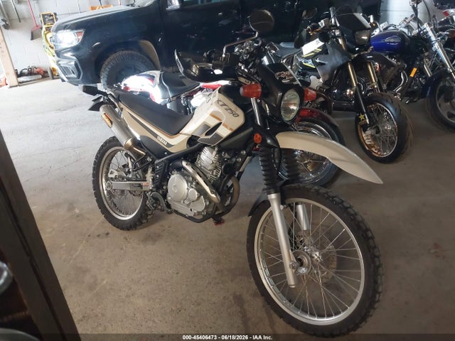 2019 YAMAHA XT250 