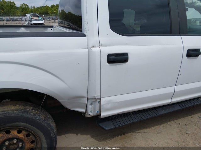 صورة 6 لـ 2019 FORD F-150 XL